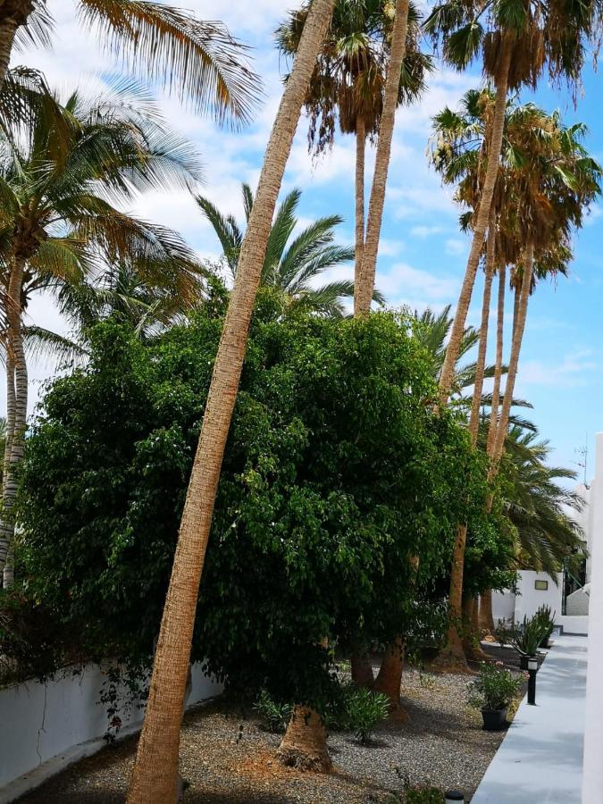 Ferienwohnung Estrella De Mar Tarajalejo Exterior foto